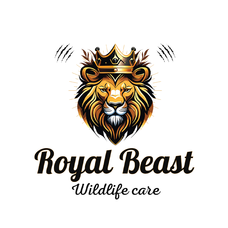 Royal Beast Egypt